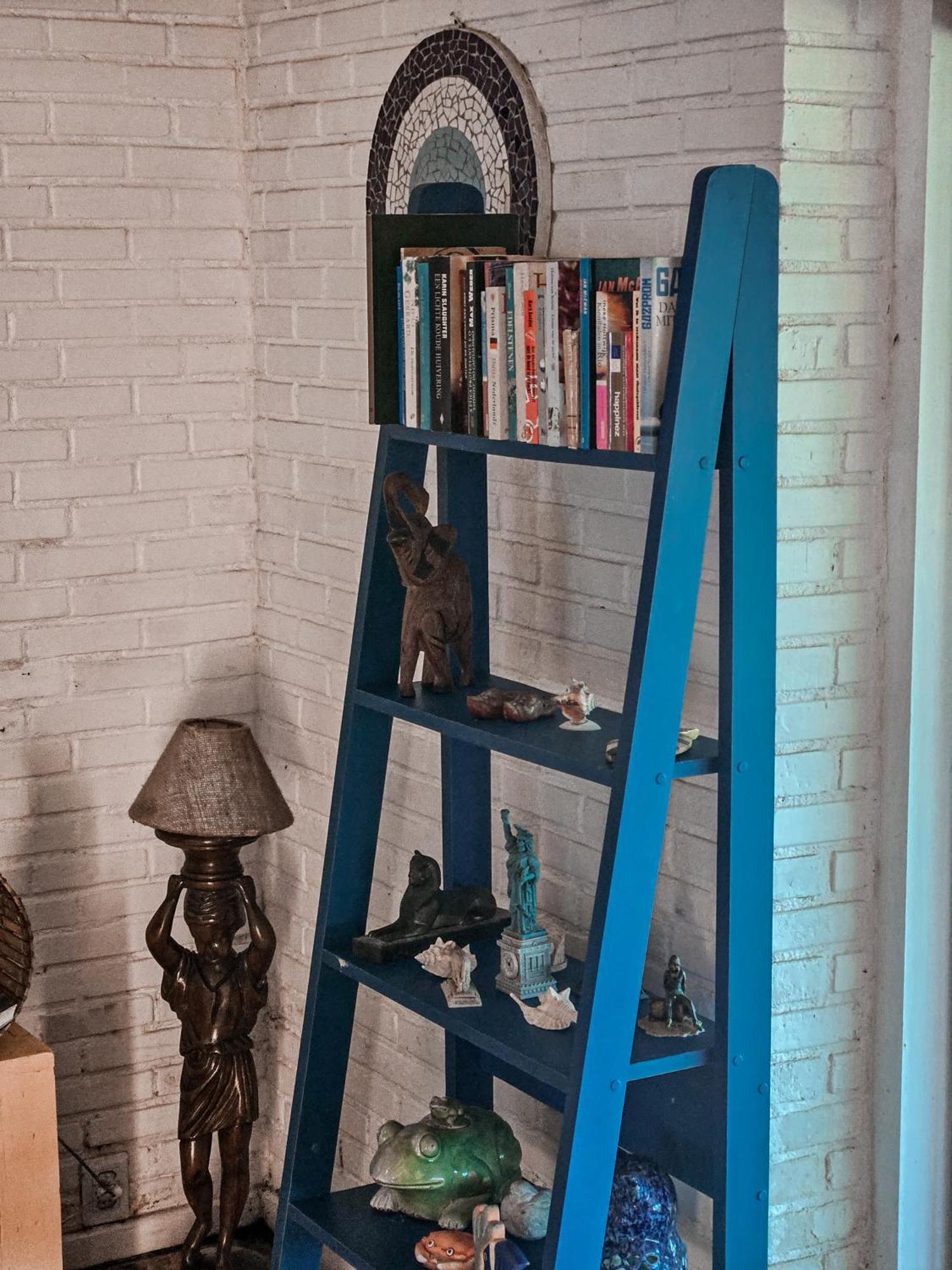 Bella Vista Ocean View Hotel Armacao dos Buzios Bagian luar foto A blue ladder shelf